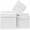 Коробка Cube M, белая с логотипом  заказать по выгодной цене в кибермаркете AvroraStore