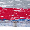 Футболка женская RAYET LADY двусторонняя, красная с синим с логотипом  заказать по выгодной цене в кибермаркете AvroraStore