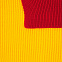 Шарф Snappy, желтый с красным с логотипом  заказать по выгодной цене в кибермаркете AvroraStore