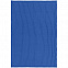 Плед Remit, ярко-синий (василек) с логотипом  заказать по выгодной цене в кибермаркете AvroraStore