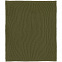 Плед Shirr, зеленый (оливковый) с логотипом  заказать по выгодной цене в кибермаркете AvroraStore