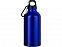 Бутылка «Hip S» с карабином, 400 мл с логотипом  заказать по выгодной цене в кибермаркете AvroraStore