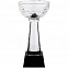 Кубок Cupture, малый с логотипом  заказать по выгодной цене в кибермаркете AvroraStore