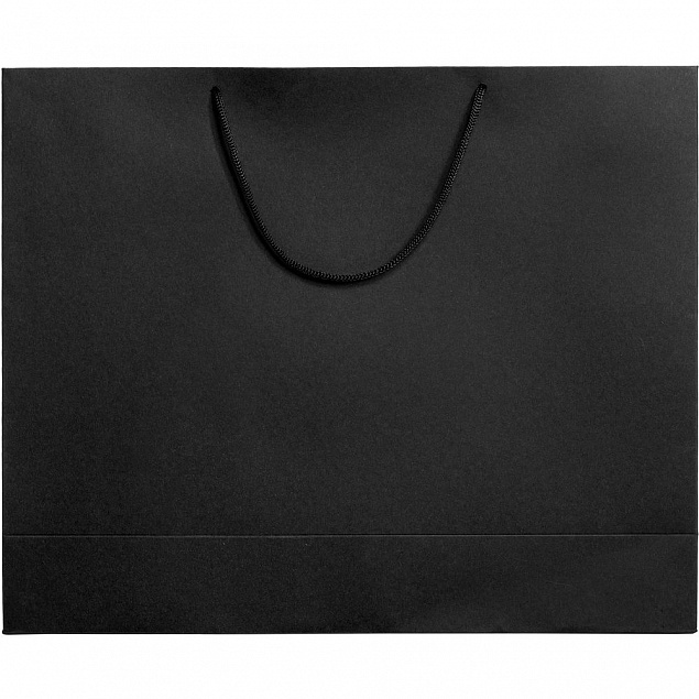 Пакет Ample L, черный с логотипом  заказать по выгодной цене в кибермаркете AvroraStore