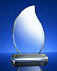 Награда Phoenix с логотипом  заказать по выгодной цене в кибермаркете AvroraStore