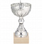 Кубок North King, серебристый с логотипом  заказать по выгодной цене в кибермаркете AvroraStore