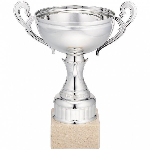 Кубок Appro, серебристый с логотипом  заказать по выгодной цене в кибермаркете AvroraStore