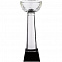Кубок Cupture, большой с логотипом  заказать по выгодной цене в кибермаркете AvroraStore