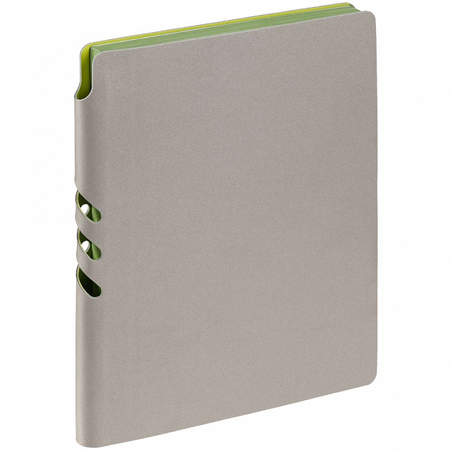 Ежедневник Flexpen, недатированный, серебристо-зеленый с логотипом  заказать по выгодной цене в кибермаркете AvroraStore