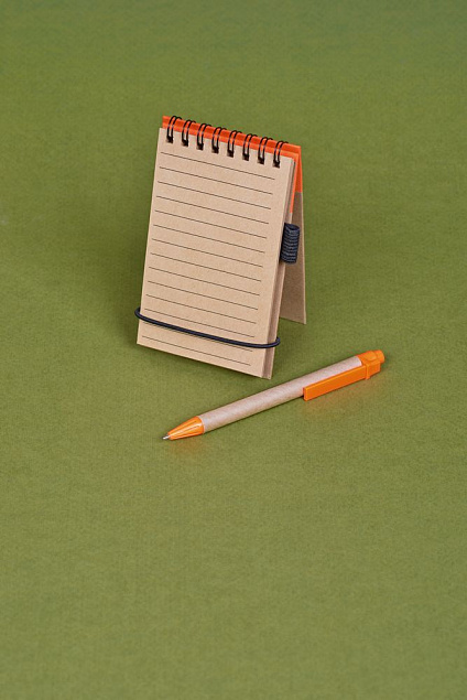 Блокнот на кольцах Eco Note с ручкой, черный с логотипом  заказать по выгодной цене в кибермаркете AvroraStore