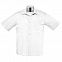 Рубашка мужская BRISTOL 105 с логотипом  заказать по выгодной цене в кибермаркете AvroraStore