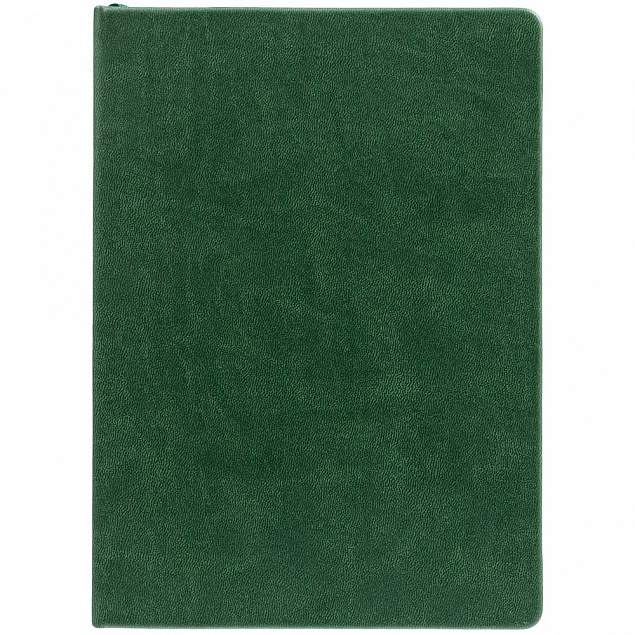 Ежедневник New Latte, недатированный, зеленый с логотипом  заказать по выгодной цене в кибермаркете AvroraStore