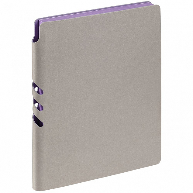 Набор Flexpen Energy, серебристо-фиолетовый с логотипом  заказать по выгодной цене в кибермаркете AvroraStore