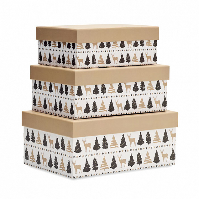 Набор подарочных коробок с логотипом  заказать по выгодной цене в кибермаркете AvroraStore