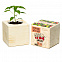 Набор для выращивания «Экокуб», перчик жгучий с логотипом  заказать по выгодной цене в кибермаркете AvroraStore