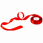 Подарочная лента для универсальной подарочной коробки 280*215*113 мм, красная, 20 мм с логотипом  заказать по выгодной цене в кибермаркете AvroraStore