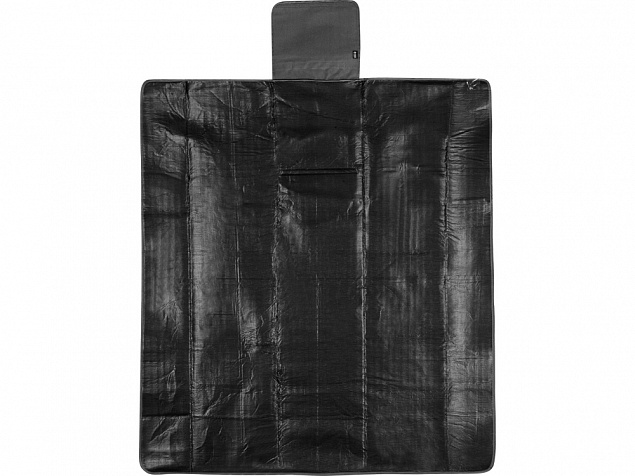 Плед для пикника Module, черный с логотипом  заказать по выгодной цене в кибермаркете AvroraStore