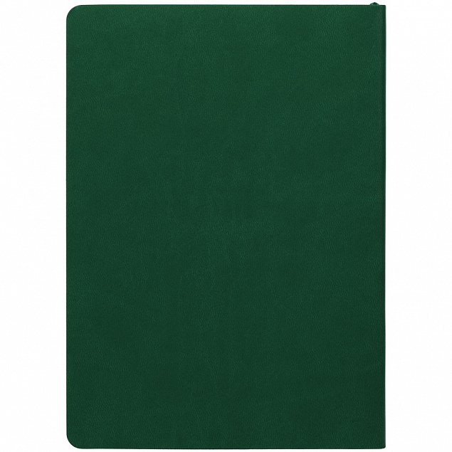 Ежедневник Fredo, недатированный, зеленый с логотипом  заказать по выгодной цене в кибермаркете AvroraStore