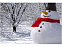 Набор аксессуаров для снеговика с логотипом  заказать по выгодной цене в кибермаркете AvroraStore