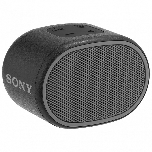 Беспроводная колонка Sony SRS-01, черная с логотипом  заказать по выгодной цене в кибермаркете AvroraStore