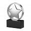 Статуэтка наградная "Звезда" с логотипом  заказать по выгодной цене в кибермаркете AvroraStore