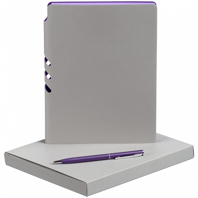 Набор Flexpen, серебристо-фиолетовый с логотипом  заказать по выгодной цене в кибермаркете AvroraStore