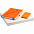 Набор Favor Energy, оранжевый с логотипом  заказать по выгодной цене в кибермаркете AvroraStore