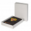 Ежедневник-портфолио Royal, черный, эко-кожа, недатированный кремовый блок, подарочная коробка с логотипом  заказать по выгодной цене в кибермаркете AvroraStore