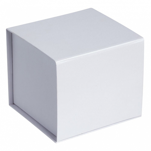 Коробка Alian, белая с логотипом  заказать по выгодной цене в кибермаркете AvroraStore