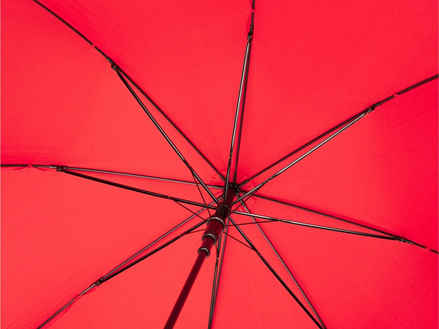 Зонт-трость «Alina» с логотипом  заказать по выгодной цене в кибермаркете AvroraStore
