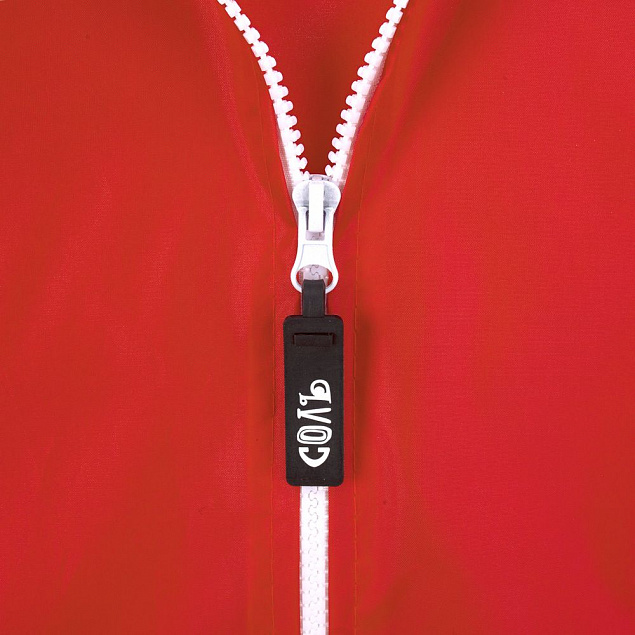 Дождевик «Воплащение всего», красный с логотипом  заказать по выгодной цене в кибермаркете AvroraStore