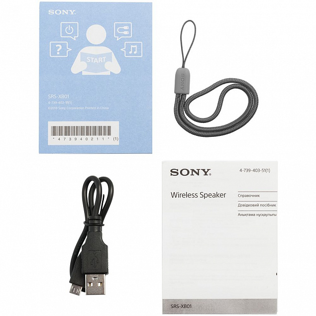 Беспроводная колонка Sony SRS-01, черная с логотипом  заказать по выгодной цене в кибермаркете AvroraStore