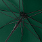Зонт-трость Dublin, зеленый с логотипом  заказать по выгодной цене в кибермаркете AvroraStore