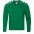 Толстовка StanSweatshirt Зелёный с логотипом  заказать по выгодной цене в кибермаркете AvroraStore