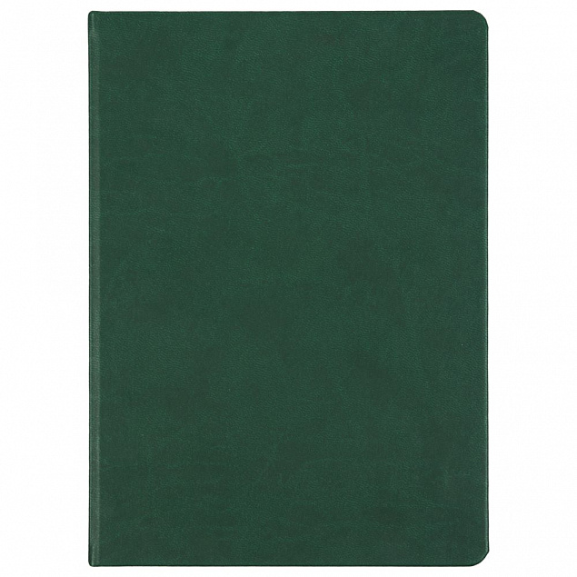 Ежедневник Basis, недатированный, зеленый с логотипом  заказать по выгодной цене в кибермаркете AvroraStore