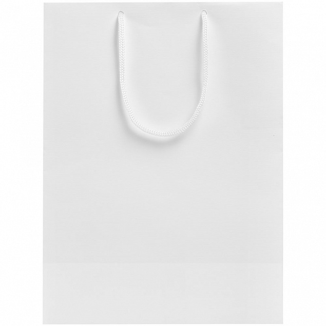 Пакет «Крафт», белый, M с логотипом  заказать по выгодной цене в кибермаркете AvroraStore