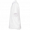 Рубашка мужская с коротким рукавом Collar, белая с логотипом  заказать по выгодной цене в кибермаркете AvroraStore