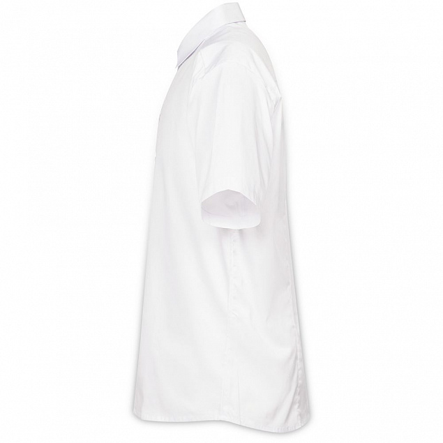 Рубашка мужская с коротким рукавом Collar, белая с логотипом  заказать по выгодной цене в кибермаркете AvroraStore