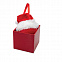 Рождественский шар в колпаке Д с логотипом  заказать по выгодной цене в кибермаркете AvroraStore