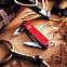 Офицерский нож SPARTAN 91, красный с логотипом  заказать по выгодной цене в кибермаркете AvroraStore