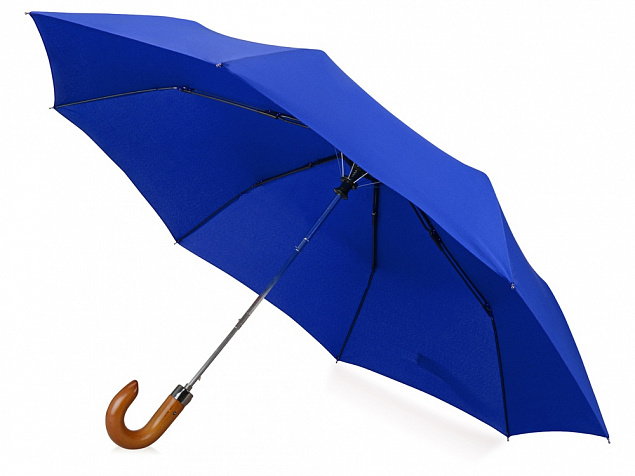 Зонт складной Cary с логотипом  заказать по выгодной цене в кибермаркете AvroraStore