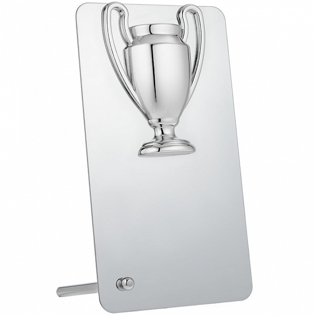 Награда Bowl Silver с логотипом  заказать по выгодной цене в кибермаркете AvroraStore