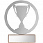 Награда Acme, кубок с логотипом  заказать по выгодной цене в кибермаркете AvroraStore