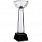 Кубок Cupture, большой с логотипом  заказать по выгодной цене в кибермаркете AvroraStore
