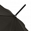 Зонт-трость Dublin, черный с логотипом  заказать по выгодной цене в кибермаркете AvroraStore
