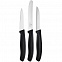 Набор кухонных ножей Victorinox Swiss Classic Paring, черный с логотипом  заказать по выгодной цене в кибермаркете AvroraStore