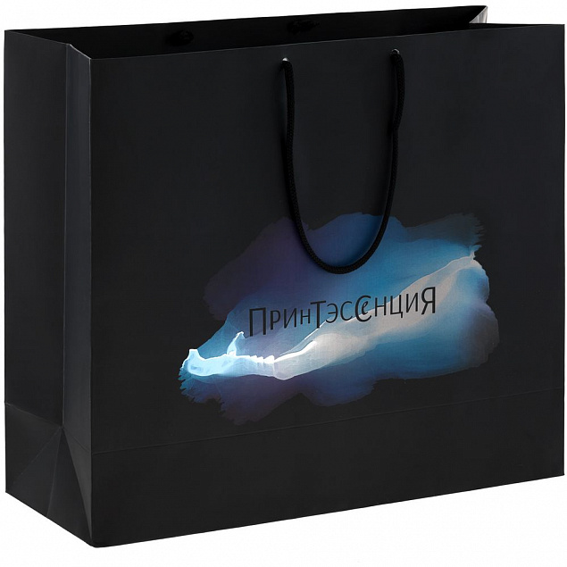 Пакет Essence Color, черный с логотипом  заказать по выгодной цене в кибермаркете AvroraStore