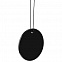 Ароматизатор Ascent, черный с логотипом  заказать по выгодной цене в кибермаркете AvroraStore
