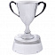 Стела  "Кубок победителя" в подарочной упаковке с логотипом  заказать по выгодной цене в кибермаркете AvroraStore