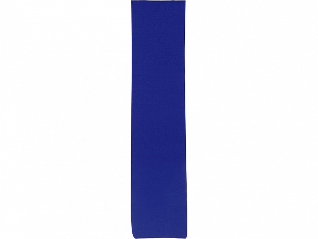 Шарф Dunant, классический синий с логотипом  заказать по выгодной цене в кибермаркете AvroraStore